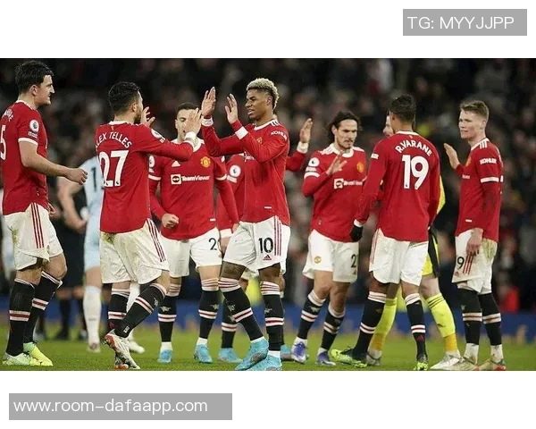 热刺与桑德兰激战成平局本坦库尔与海特勒伊达场上冲突引发关注